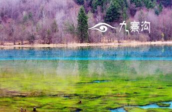 九寨沟旅游自助游攻略 九寨沟旅游多少钱 九寨沟旅游纯团玩 九寨沟旅游自助游攻略 九寨沟旅游多少钱 九寨沟旅游纯团玩
