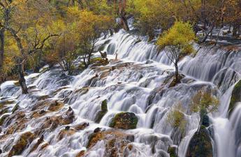 九寨沟旅游自助游攻略 九寨沟旅游多少钱 九寨沟旅游纯团玩 九寨沟旅游自助游攻略 九寨沟旅游多少钱 九寨沟旅游纯团玩