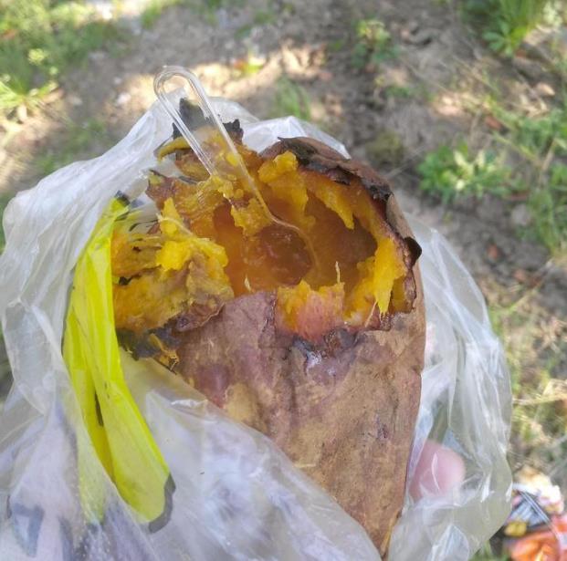 环阳澄湖骑行详细攻略 环阳澄湖骑行详细攻略