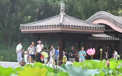 玉渊潭公园门票是多少 玉渊潭公园在哪里 玉渊潭公园门票是多少 玉渊潭公园在哪里