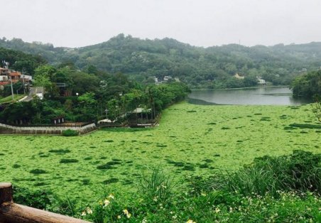 新竹苗栗在哪里 新竹苗栗旅游 新竹苗栗在哪里 新竹苗栗旅游