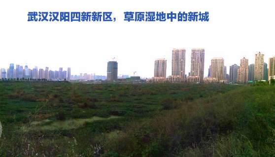 汉阳四新新区风景 汉阳四新新区风景