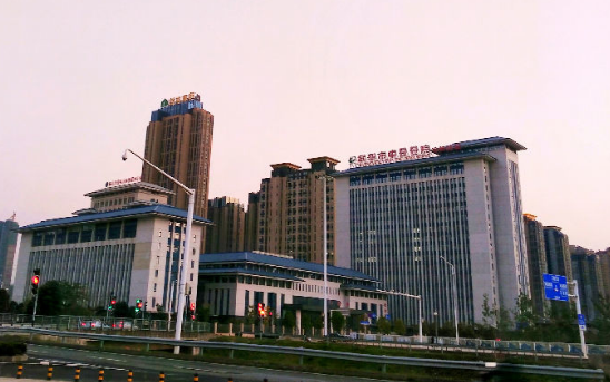 汉阳四新新区风景 汉阳四新新区风景