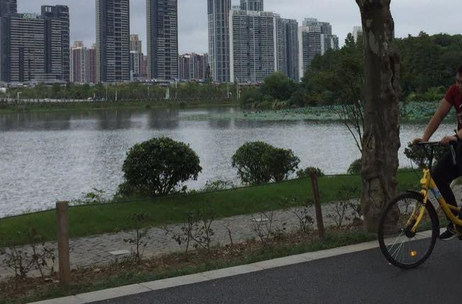武汉周末适合去哪玩 武汉周末适合去哪玩
