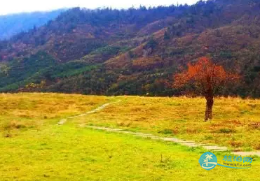 神木垒适合什么时候去 神木垒露营好玩吗 神木垒适合什么时候去 神木垒露营好玩吗