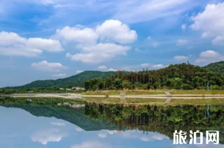去露营需要带什么 去露营需要带什么