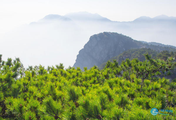 庐山好玩的景点推荐 庐山游玩攻略 庐山好玩的景点推荐 庐山游玩攻略