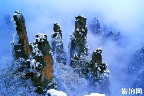 张家界下雪会封山吗 张家界什么时候下雪 冬天去张家界怎么玩 张家界下雪会封山吗 张家界什么时候下雪 冬天去张家界怎么玩