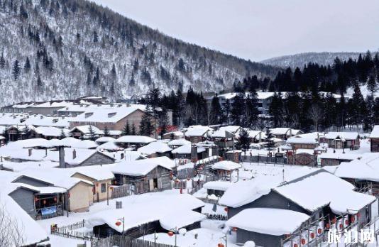 去雪乡旅游报团还是自由行好 去雪乡报户外俱乐部好吗 去雪乡旅游报团还是自由行好 去雪乡报户外俱乐部好吗