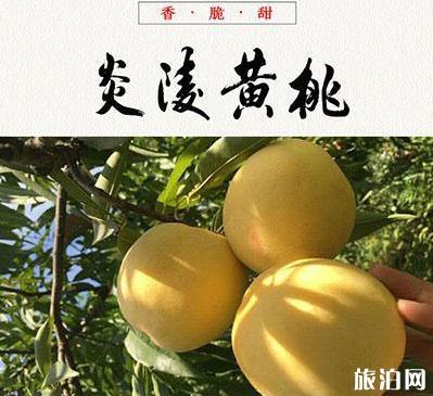 中国哪里产的桃子最好吃 中国哪里产的桃子最好吃