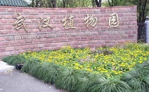 游武汉植物园作文800字 游武汉植物园作文800字
