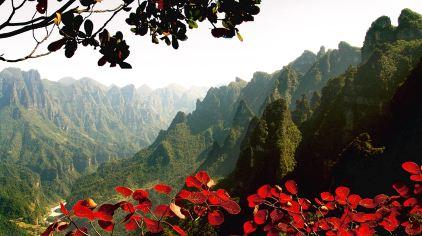 柴埠溪大峡谷导览图 柴埠溪大峡谷导览图