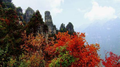 柴埠溪大峡谷导览图 柴埠溪大峡谷导览图