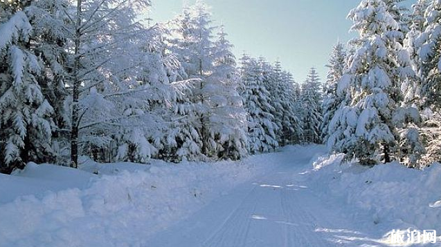 2018年冬天会下雪吗 今年是暖冬还是冷冬 2018年冬天会下雪吗 今年是暖冬还是冷冬