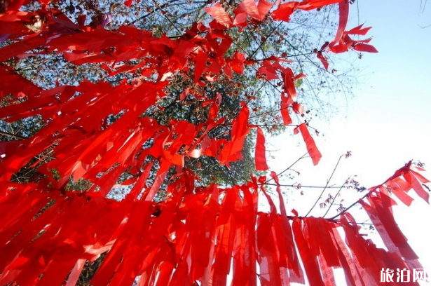 春节适合去哪里旅游 春节带着父母去哪里旅行好 春节适合去哪里旅游 春节带着父母去哪里旅行好