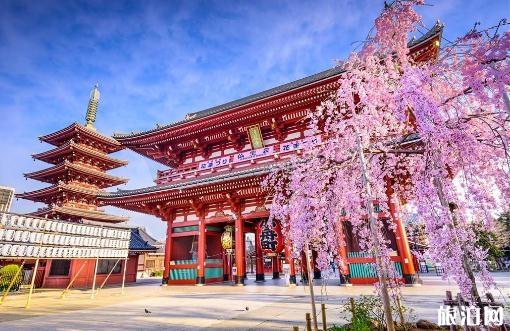 8月去日本热吗 八月份去日本穿什么衣服 8月去日本热吗 八月份去日本穿什么衣服