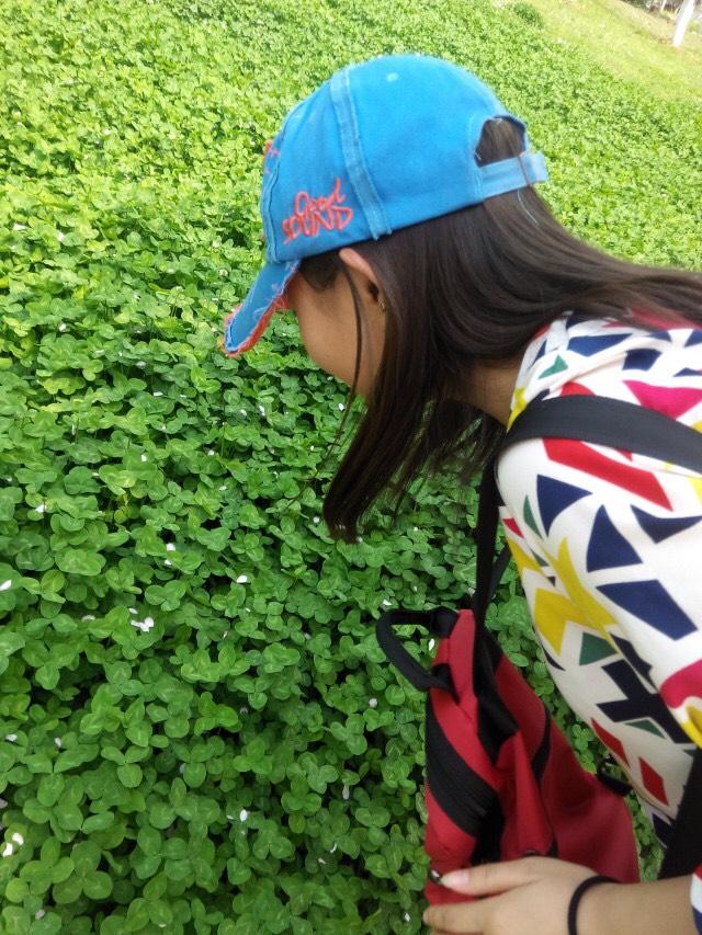 汉阳造有哪些好玩的 汉阳造在哪儿? 汉阳造有哪些好玩的 汉阳造在哪儿?