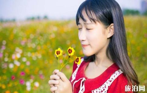怎么拍出好看的赏花人像照片 怎么拍出好看的赏花人像照片