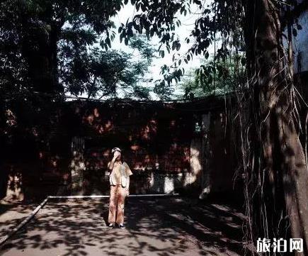 湛江适合拍照的地方 湛江适合拍照的地方