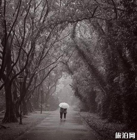 什么照片耐看 怎么拍好看的照片 什么照片耐看 怎么拍好看的照片