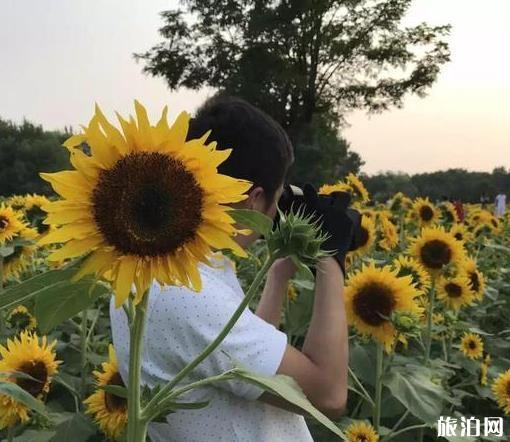 出门相机怎么带 如何防止相机被盗 出门相机怎么带 如何防止相机被盗