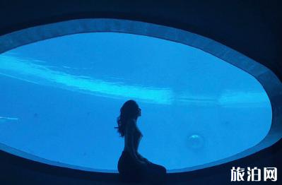 海洋馆拍照姿势 海洋馆怎么拍照 海洋馆拍照姿势 海洋馆怎么拍照