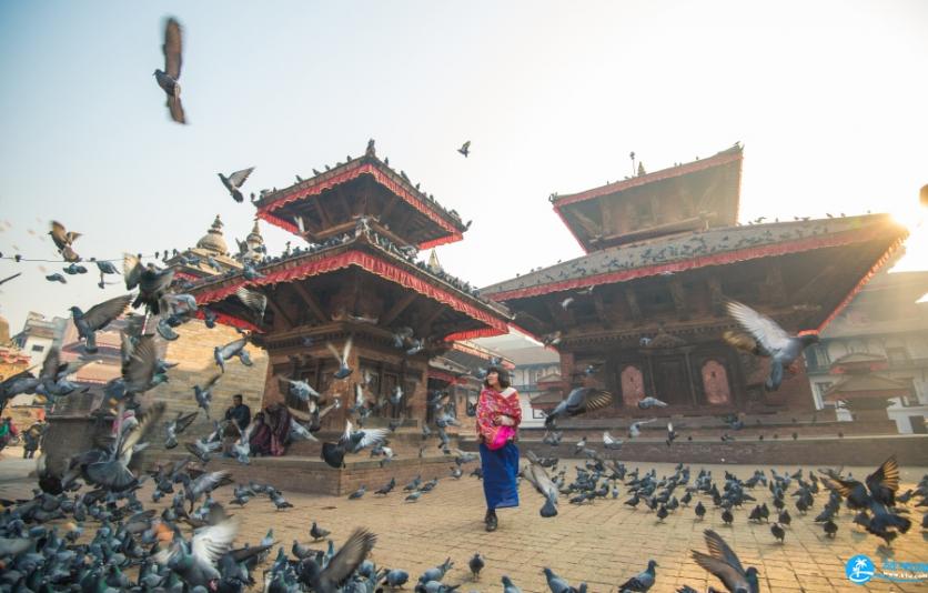旅行穿什么衣服拍照好看 海边穿什么颜色衣服拍照好看 旅行穿什么衣服拍照好看 海边穿什么颜色衣服拍照好看