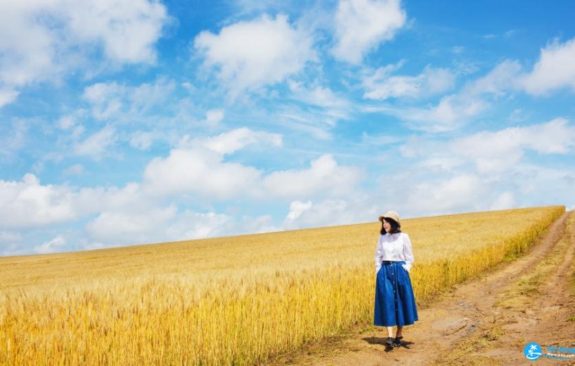 旅行穿什么衣服拍照好看 海边穿什么颜色衣服拍照好看 旅行穿什么衣服拍照好看 海边穿什么颜色衣服拍照好看