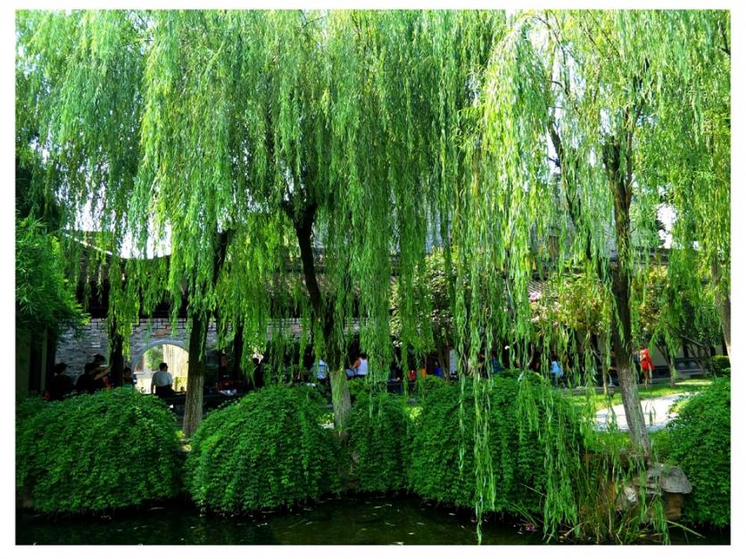 镇江风景图片 镇江旅游美景图片 镇江风景图片 镇江旅游美景图片