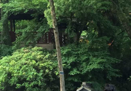 孙子故里到底在哪 山东东营境内有哪些名胜古迹 姓氏孙的由来 孙子故里到底在哪 山东东营境内有哪些名胜古迹 姓氏孙的由来