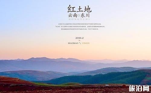 云南有几所一本大学 云南有几所一本大学