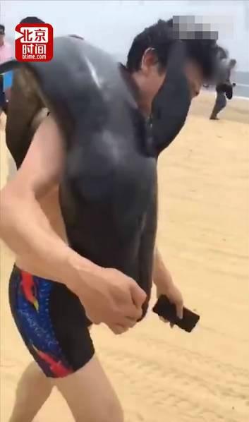 游客疑似活捉海豚 海滩游客注意事项有哪些 游客疑似活捉海豚 海滩游客注意事项有哪些